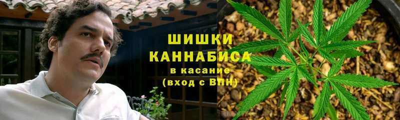 Бошки марихуана White Widow  нарко площадка какой сайт  Кизилюрт  как найти закладки 